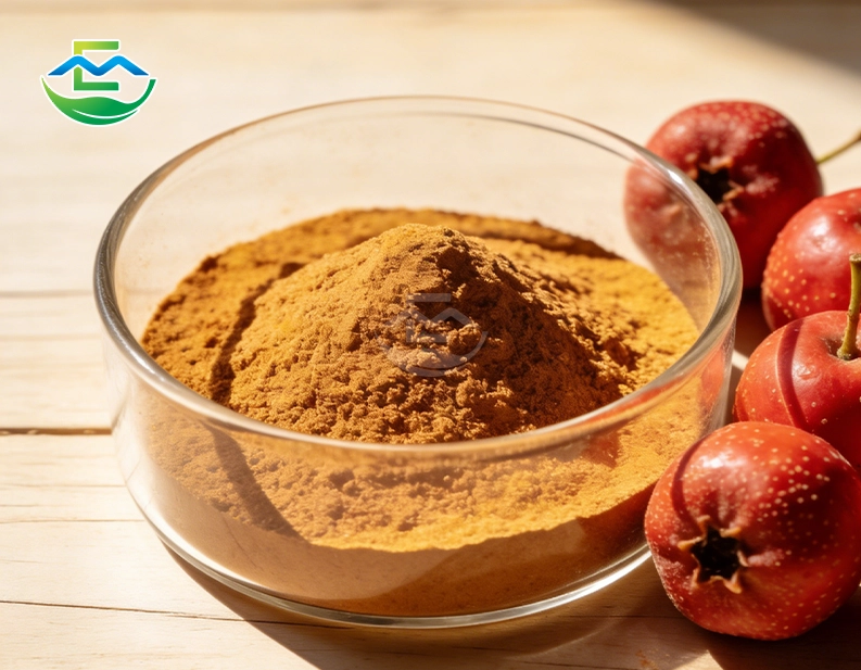 Hawthorn Fruit Powder